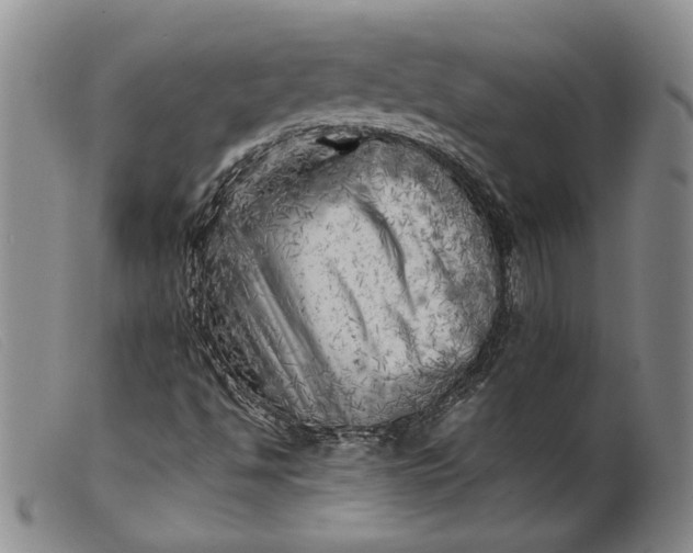 X0000099461494200805231753