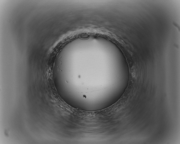 X0000099461495200805231753