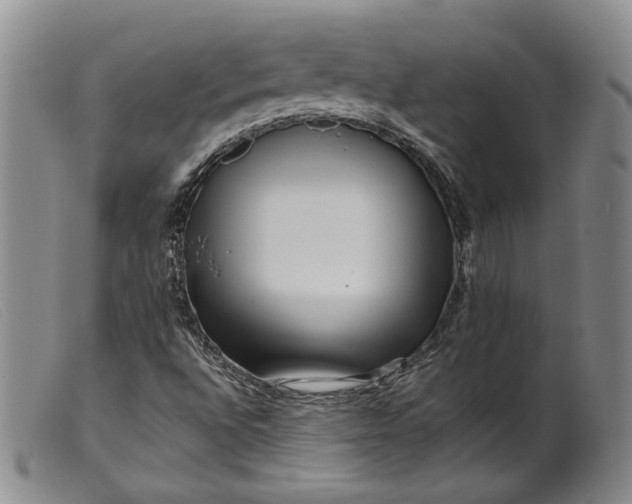 X0000099461496200805231753