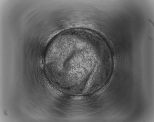 X0000099461497200805231753