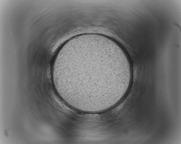 X0000099461498200805231753