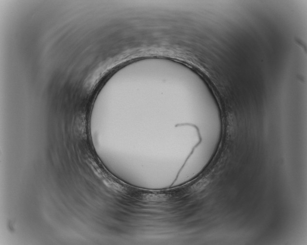 X0000099461499200805231753