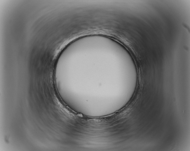 X0000099461500200805231753