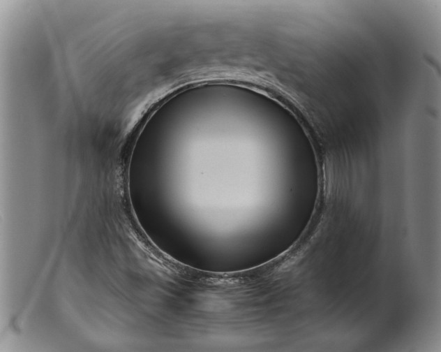 X0000099461501200805231753