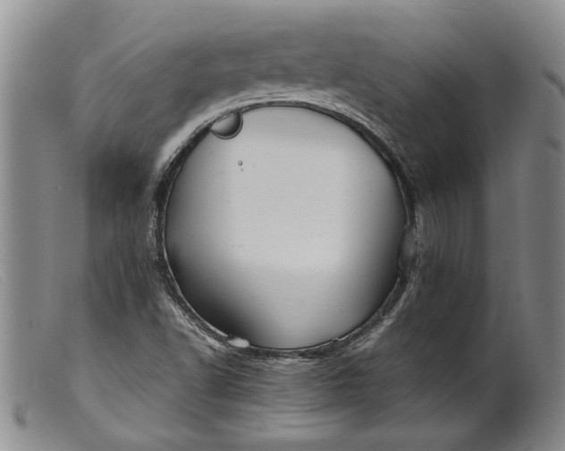 X0000099461502200805231753