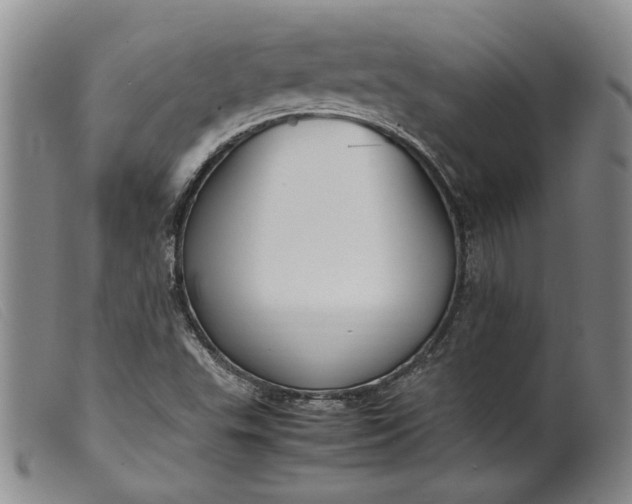 X0000099461503200805231753