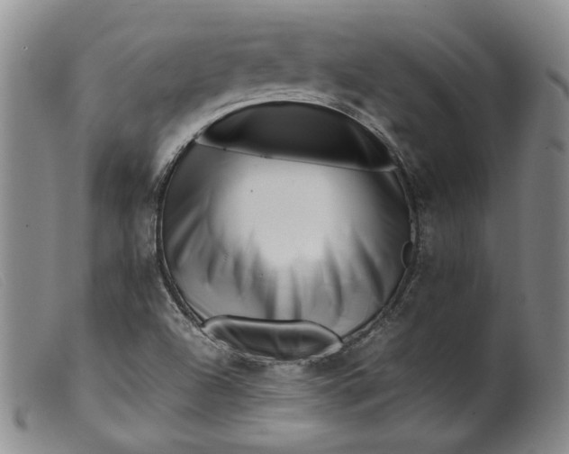 X0000099461504200805231753