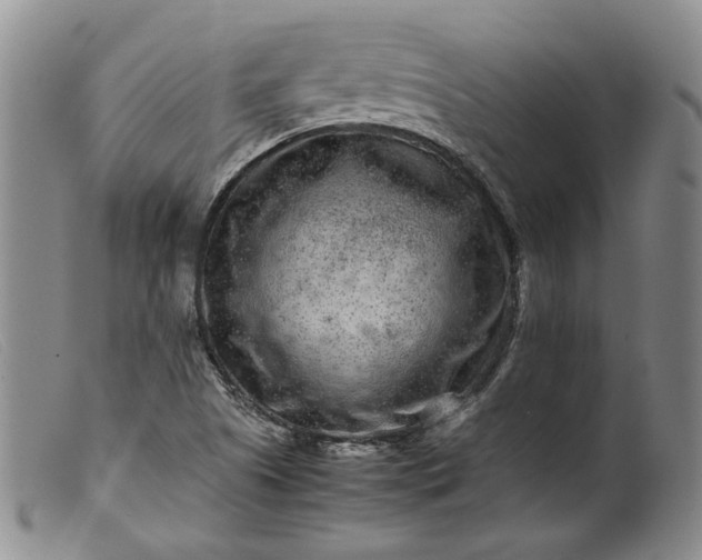 X0000099461505200805231753