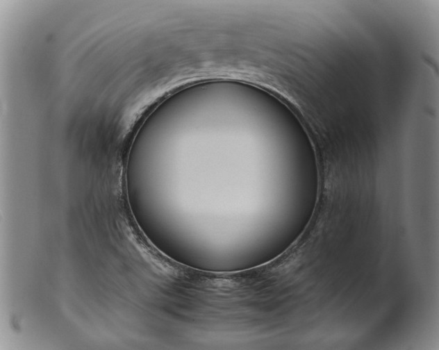 X0000099461507200805231753