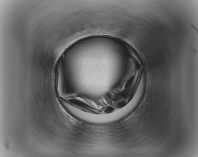 X0000099461508200805231753