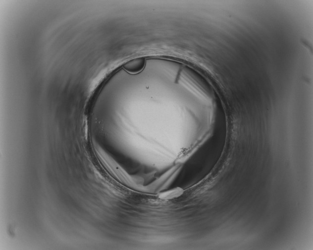 X0000099461509200805231753