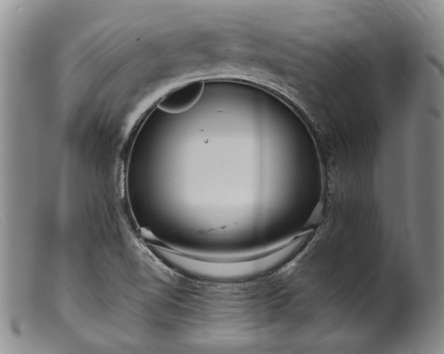 X0000099461510200805231753