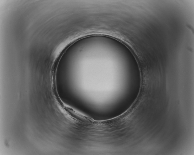 X0000099461511200805231753