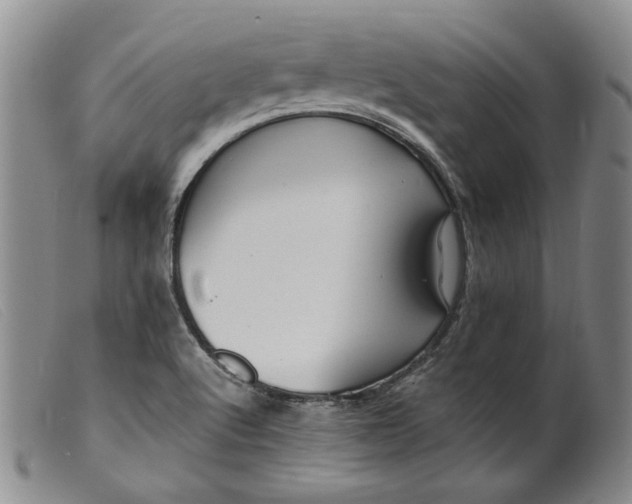 X0000099461512200805231753