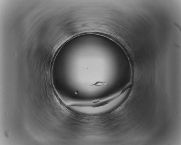 X0000099461513200805231753