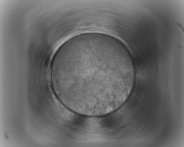 X0000099461514200805231753