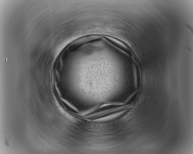 X0000099461515200805231753