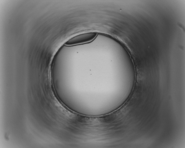 X0000099461516200805231754