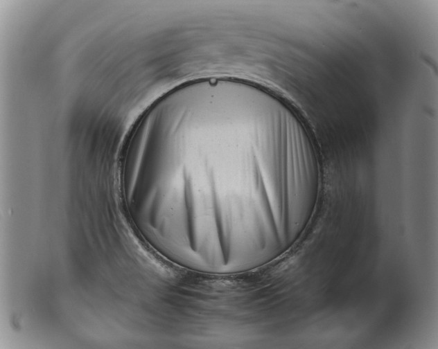 X0000099461517200805231754