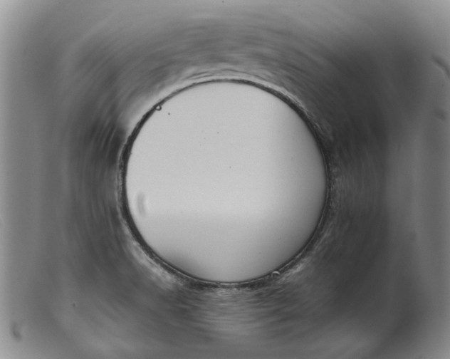 X0000099461518200805231754