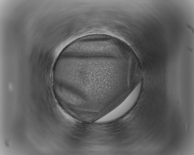 X0000099461519200805231754