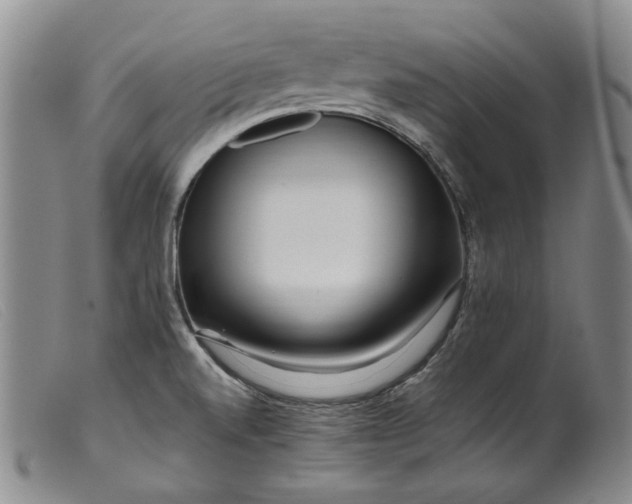 X0000099461520200805231754