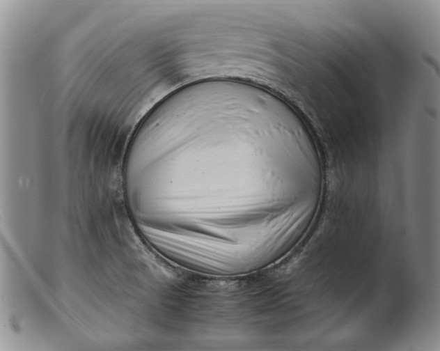 X0000099461521200805231754