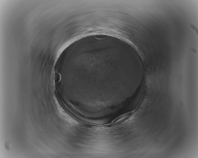 X0000099461522200805231754