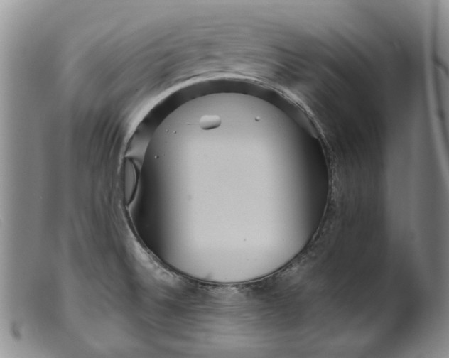 X0000099461524200805231754