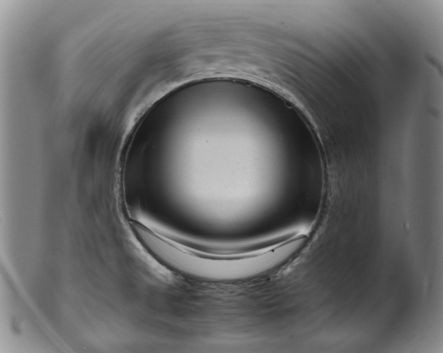 X0000099461525200805231754