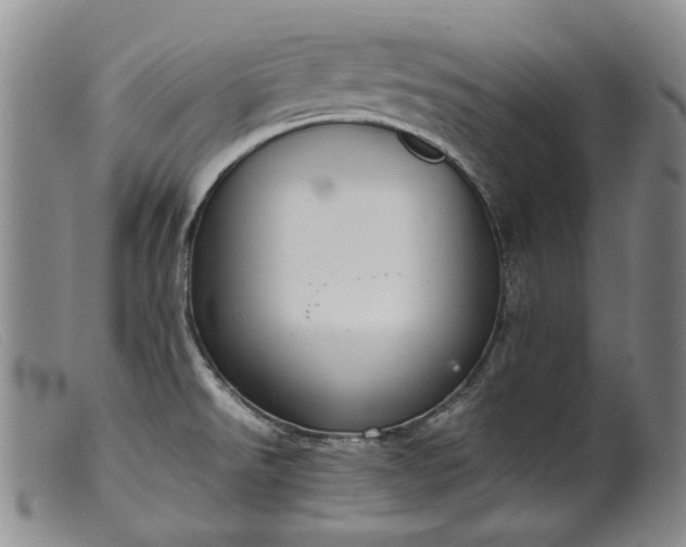 X0000099461526200805231754