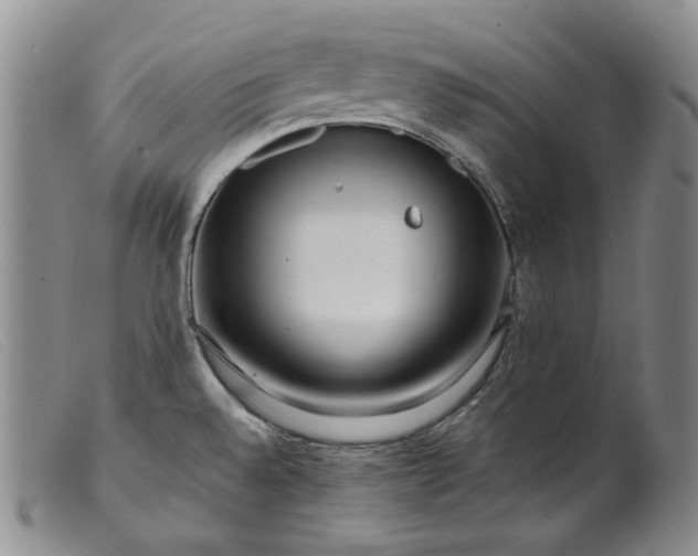 X0000099461528200805231754