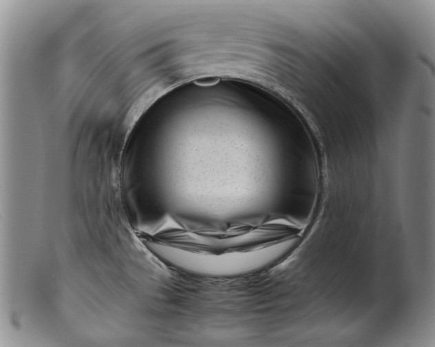 X0000099461529200805231754