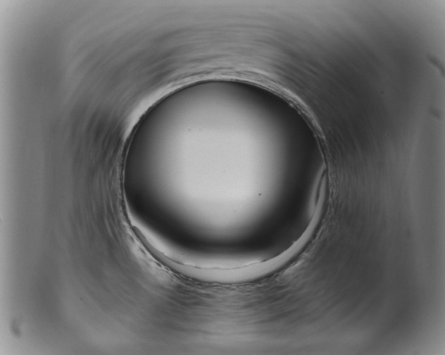 X0000099461530200805231754