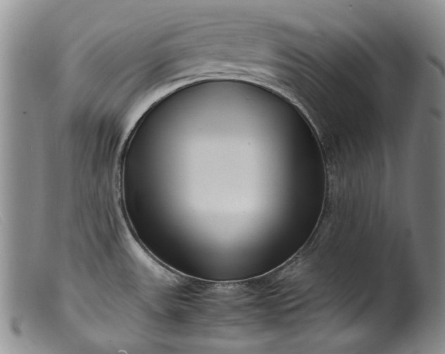 X0000099461531200805231754