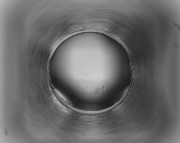 X0000099461532200805231754