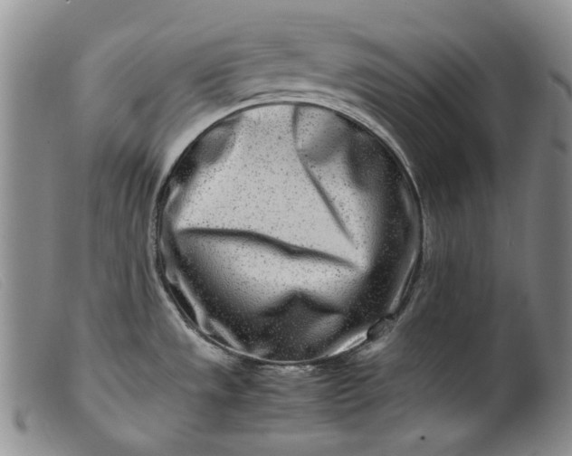 X0000099461533200805231754