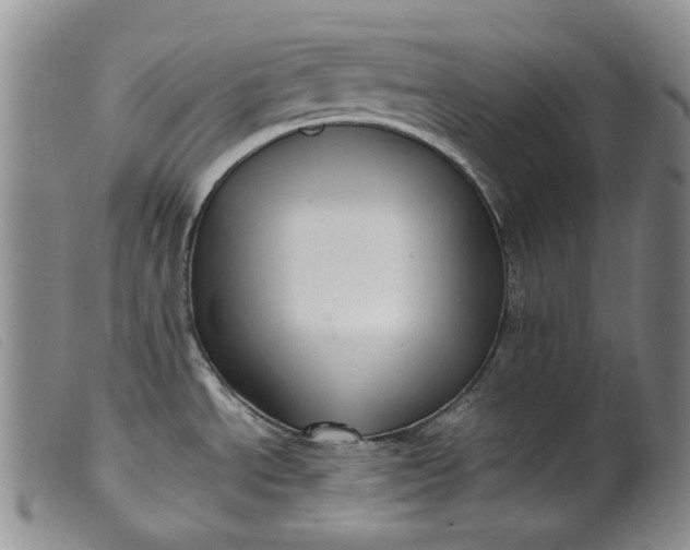 X0000099461534200805231754