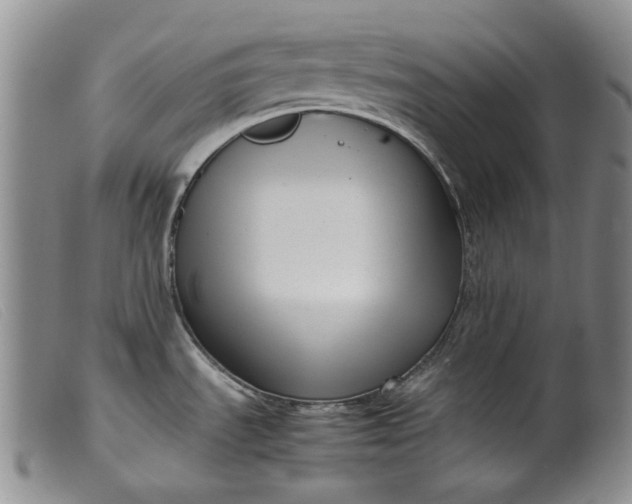 X0000099461535200805231754