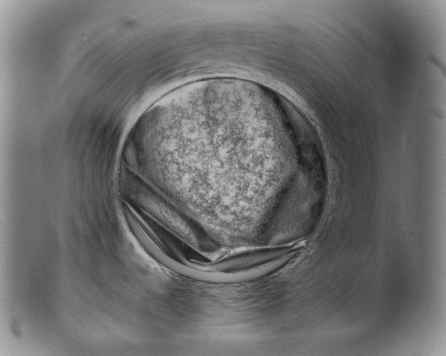 X0000099461536200805231754