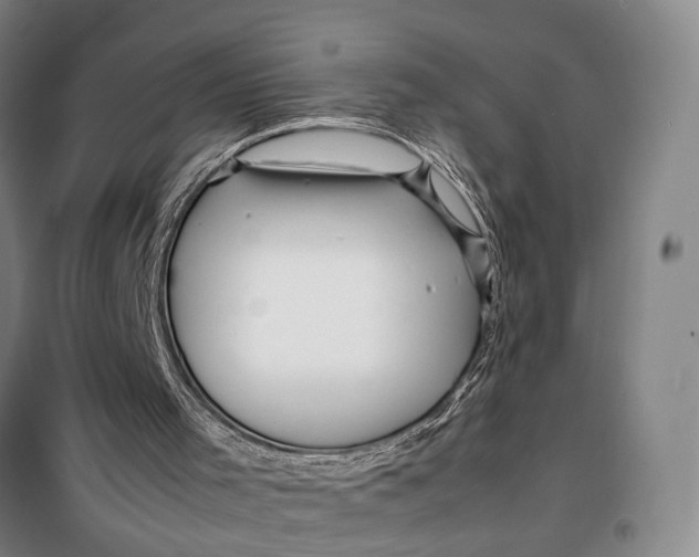 X0000099460001200805301544