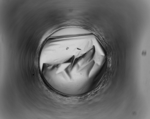 X0000099460004200805301544