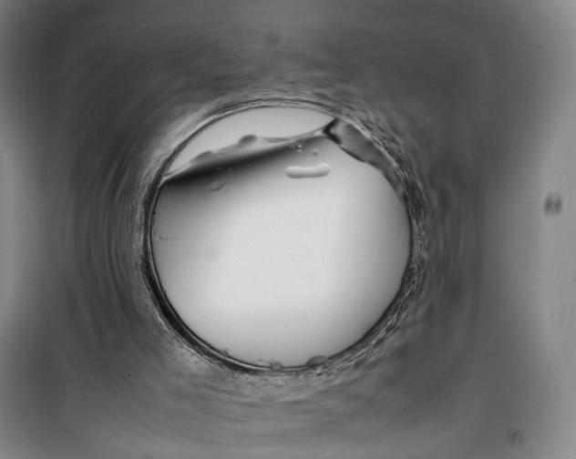 X0000099460005200805301544