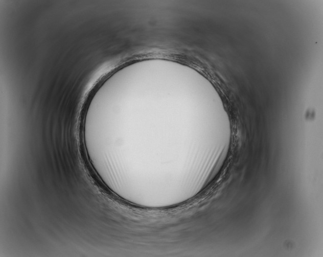 X0000099460006200805301544