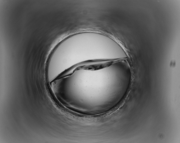 X0000099460008200805301544