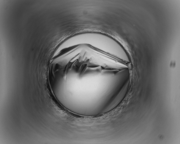 X0000099460009200805301544