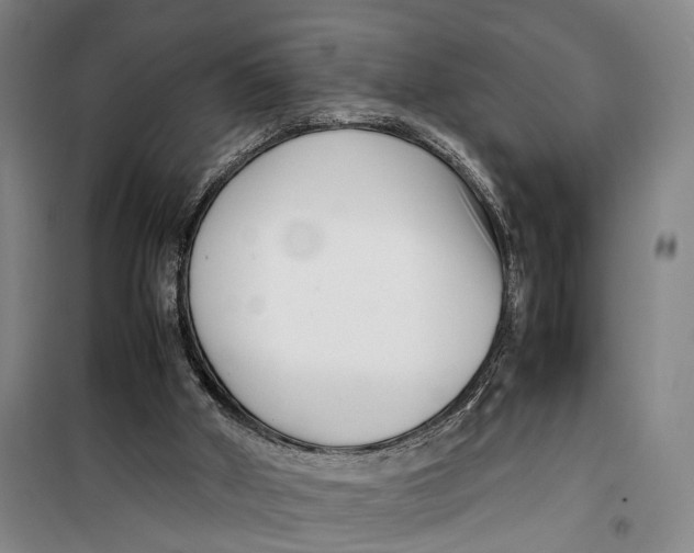 X0000099460010200805301544