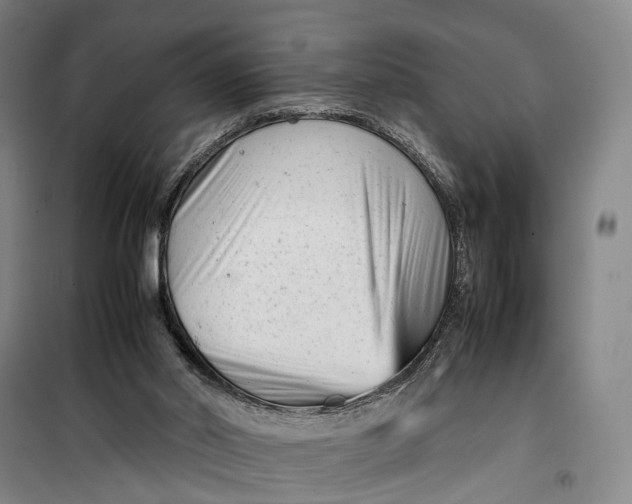 X0000099460014200805301544