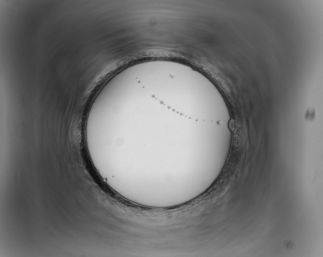 X0000099460015200805301544