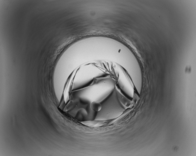 X0000099460019200805301544